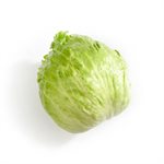 Lettuce Iceberg 1UN