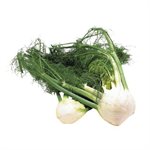 Fennel Anise 1UN