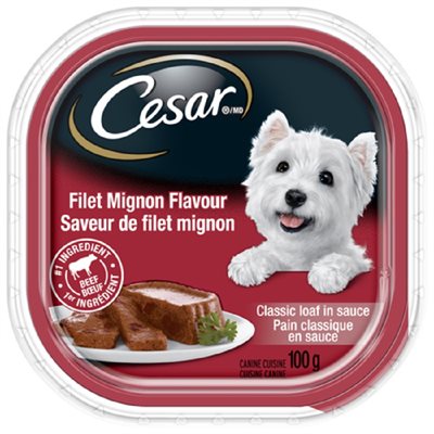 CESAR NOUR CHIEN TR C FILET 100GR