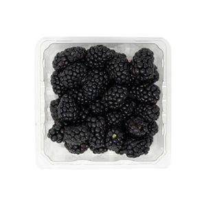 Blackberries 170GR